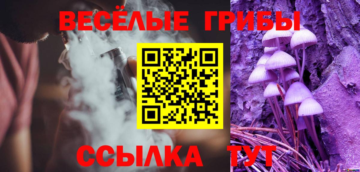 Углич  Псилоцибиновые грибы GOLDEN TEACHER  Вход с VPN 