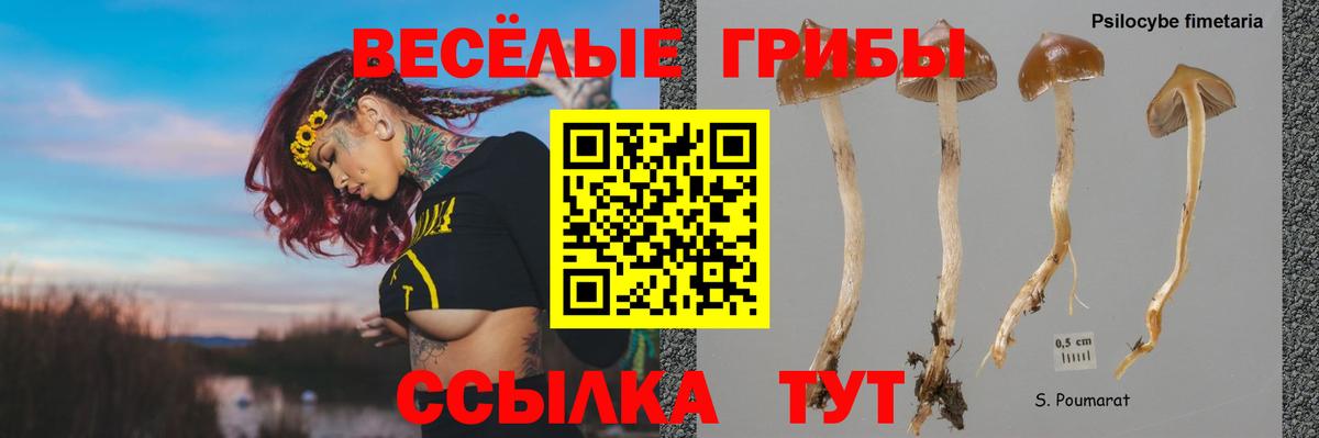 Псилоцибиновые грибы прущие грибы Углич